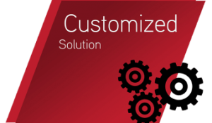 customized-solution-341x199